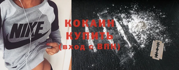 кокс Бородино